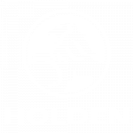 Holden Logo