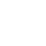 Iveco Logo