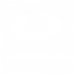 Ssangyong Logo