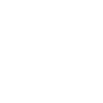 Triumph Logo