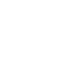 Austin Rover Logo